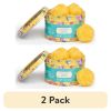(2 pack)Figural Wax Melts, Rustic Wildflowers, 10 Count