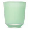 BOUGIES LA FRANCAISE - Vert Eucalyptus Candle 071767 200g/7.05oz